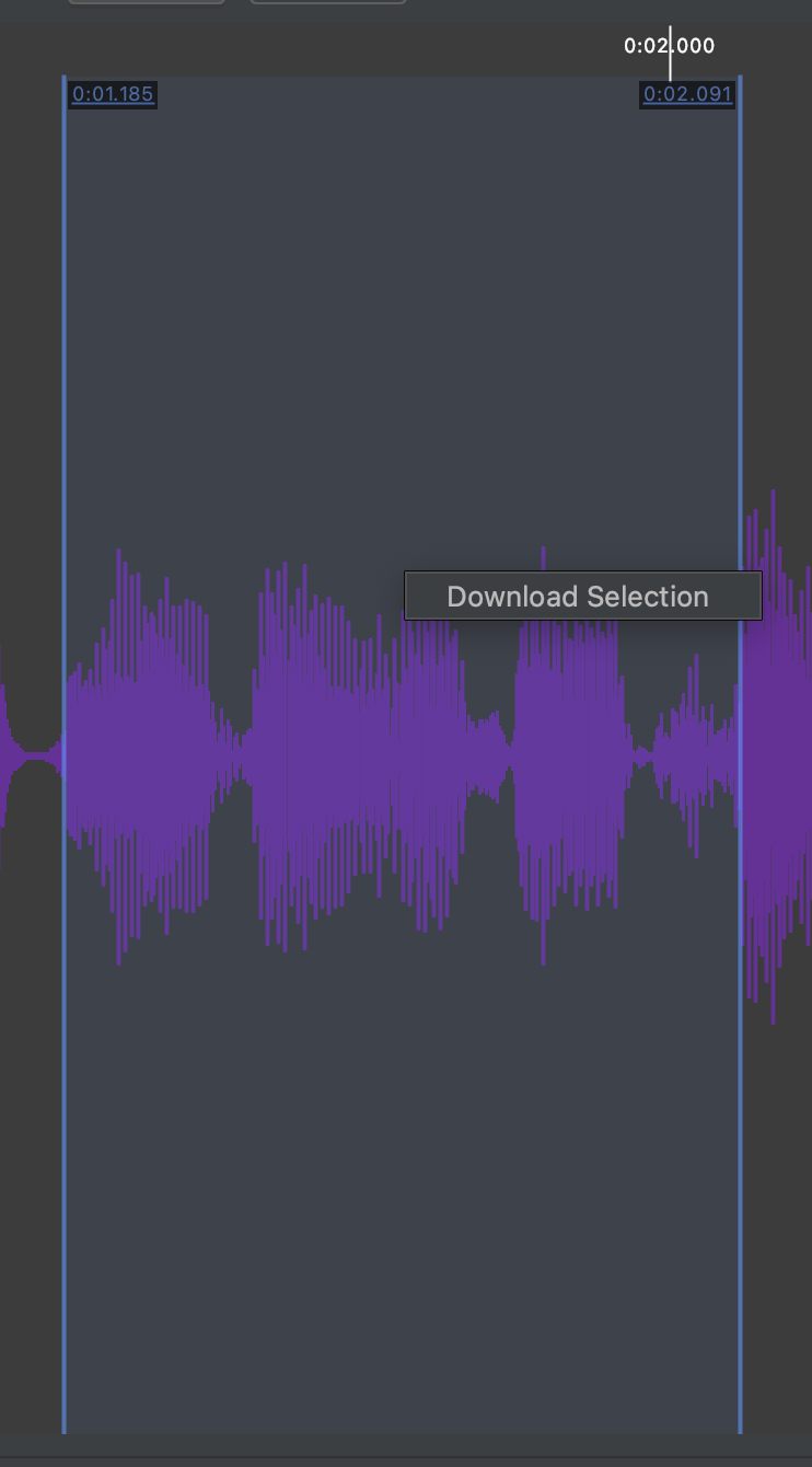 Download only the selected audio region in JetBrains IDE