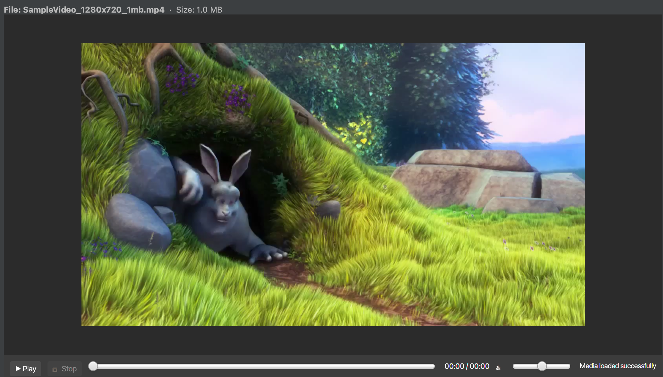 Open the video/media viewer in JetBrains IDE